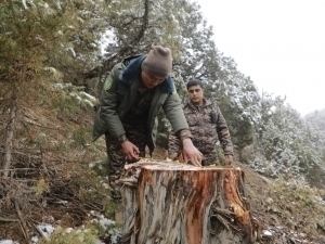 Ekologik huquqbuzarliklar uchun moliyaviy sanksiyalar joriy etiladi
