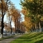 Temperature to rise to 29 degrees tomorrow