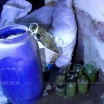 Toshkent viloyatida fuqaroning uyidan 45 kg narkotik topildi