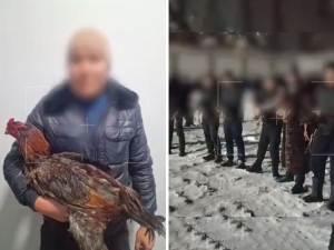 121 kishi ishtirokida qimor tashkil qilgan shaxs ushlandi