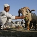 Saudiyada Qurbon hayiti sanasi e’lon qilindi
