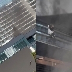 Toshkentdagi Park in Mall’ga o‘t ketdi (video)