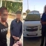 Narcotics smuggled from Tajikistan were seized in several regions and Tashkent City (video)