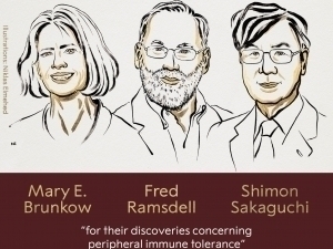 Нобель ҳафталиги бошланди. Тиббиёт бўйича лауреатлар эълон қилинди