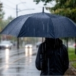 Ertaga ba’zi joylarda yomg‘ir yog‘ib, momaqaldiroq bo‘ladi