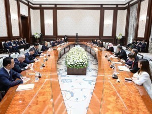 Mirziyoyev Holds Negotiations with Halima Yaqub