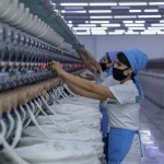 Ўзбекистонда пахта нархини тушириш таклиф қилинди