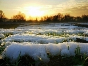 Sharp temperature rise expected in Uzbekistan starting midweek  