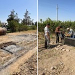 Sho‘rchi hokimining 31 mlnga tushgan qarori bekor qilinadi. Aybdor atigi 1,3 “shtraf”ga tortildi