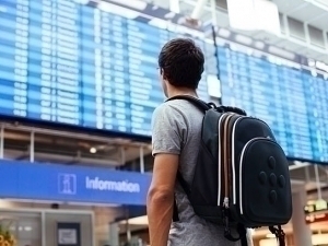 Where are Uzbeks mostly going to study?