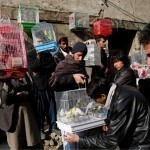Afg‘onistonda o‘g‘rilarning qo‘lini kesish taklif qilindi