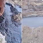 Boysundagi kondan neft sizib chiqdi (video)