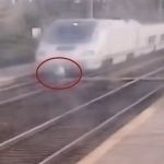 30-year-old woman throws herself under a train (video)