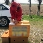 Yo‘llarda sotilayotgan muzqaymoqda bakteriya aniqlandi