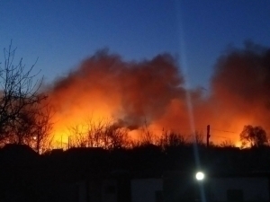 Ўзбекистон ва Афғонистон чегарасидаги қамишзорлар ёқилди