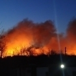 Reed beds burned along the Uzbekistan–Afghanistan border