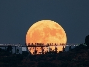 NASA'нинг бўлажак раҳбари Ойда база қуришга ваъда берди