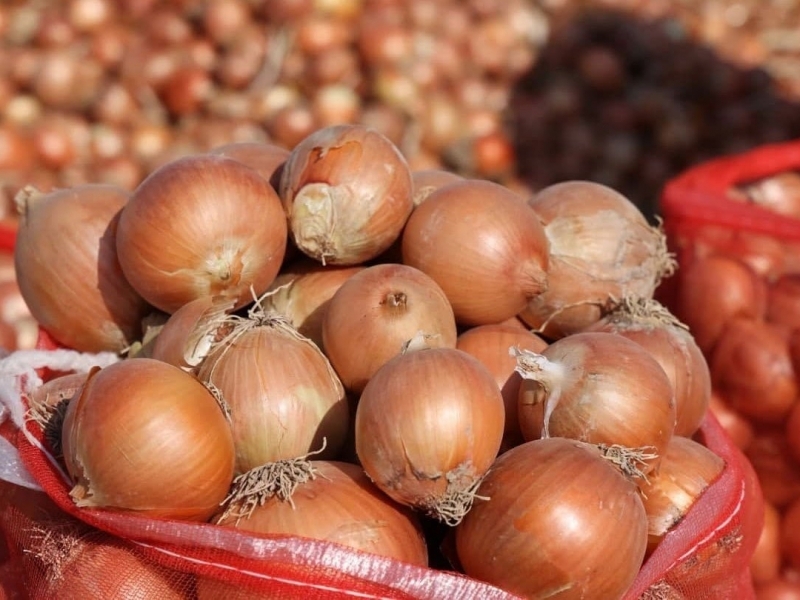 The cost of onions in Uzbekistan drops to an all-time low