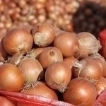 The cost of onions in Uzbekistan drops to an all-time low