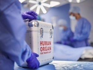 Хусусий клиникаларга орган трансплантацияси ўтказишга рухсат берилади