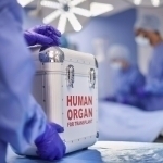 Xususiy klinikalarga organ transplantatsiyasi o‘tkazishga ruxsat beriladi