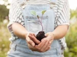 New title for ecologists will be established in Uzbekistan