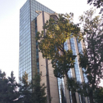 Markaziy bank va Moliya vazirligi raddiya bilan chiqdi