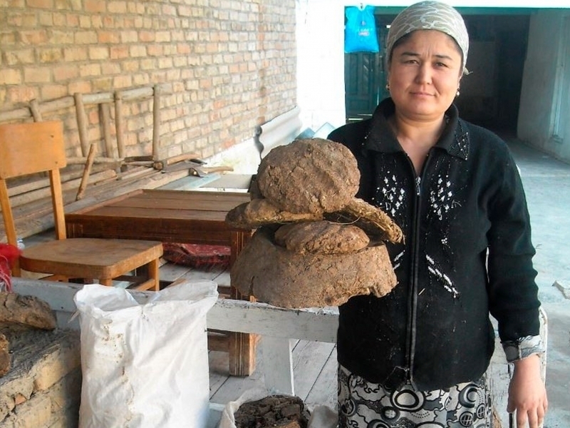 Tojikistonda aholi qishda nima bilan isinadi? Qancha xarajat ketadi?