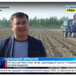 Тадбиркор эксперимент сифатида Тошлоққа ҳоким этиб тайинланган