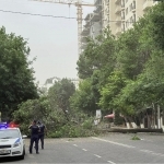 Bugun poytaxtda kuchli shamol bo‘ladi