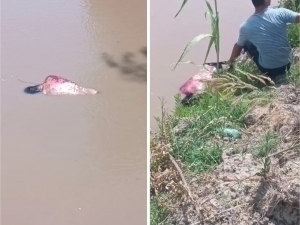 33-year-old man's body was found in the Great Fergana canal