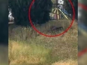 Andijonda attraksion qulab tushdi. Jarohatlanganlar bor