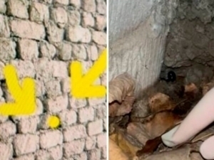 Toshkent va Navoiyda Telegram orqali psixotrop sotganlar ushlandi