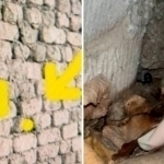 Toshkent va Navoiyda Telegram orqali psixotrop sotganlar ushlandi