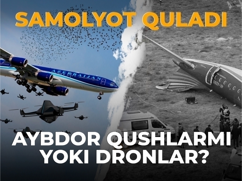 Qozog‘istonda samolyot quladi. Aybdor qushlarmi yoki dronlar?