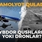 Qozog‘istonda samolyot quladi. Aybdor qushlarmi yoki dronlar?