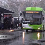 Toshkentda bayram kunlari avtobuslar harakati tartibi ma’lum bo‘ldi