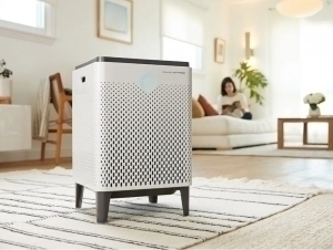 Ҳавотозалагичлар учун бож бекор бўлди