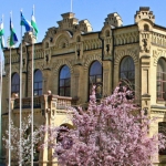 Madaniyat vazirligi huzurida yangi direksiya tuziladi