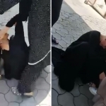 Andijonda tadbirkor ayol qarz sababli 20 yoshli qizni kaltakladi (video)