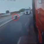 Samarqandda o‘zini yuk mashinasining tagiga tashlagan erkak halok bo‘ldi (video)