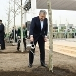 Shaded Tashkent: Plans to surround the capital with trees underway