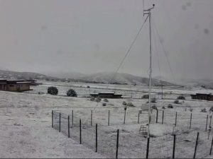 “Bahor o‘rtasida qishning nafasi”. Jizzaxda qor yog‘di (video)