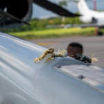 Колумбия Президенти вертолётига номаълум шахслар ҳужум қилди