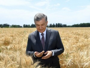 The president has signed an important decision on the cultivation and sale of wheat