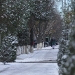 Winter in Uzbekistan: Season of contrasts
