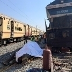 Hindistonda poyezd fillar galasini bosib ketdi (video)