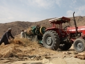 Rossiya Afg‘onistondan ham migrantlarni jalb qilmoqchi
