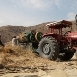 Rossiya Afg‘onistondan ham migrantlarni jalb qilmoqchi