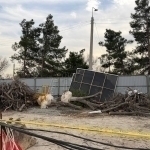 “Ўзларидан подшоҳ ясаб олган, валломат”. Тошкент марказида яна дарахтлар йўқ қилинмоқда (видео)